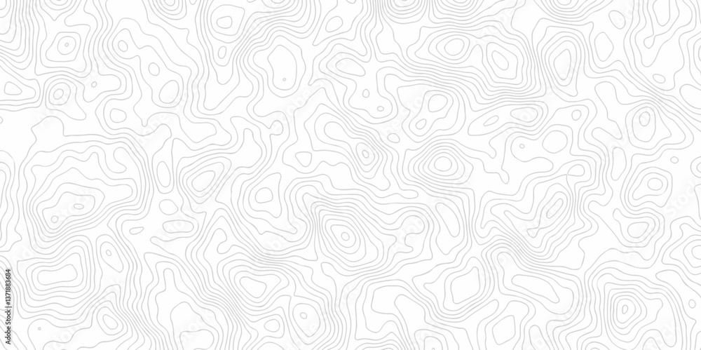 Poster abstract curve grid map and topo contour map on white background, topographic contour lines. seamles
