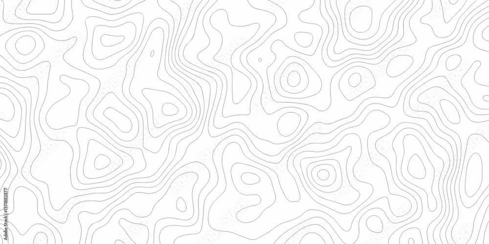 Poster abstract curve grid map and topo contour map on white background, topographic contour lines. seamles