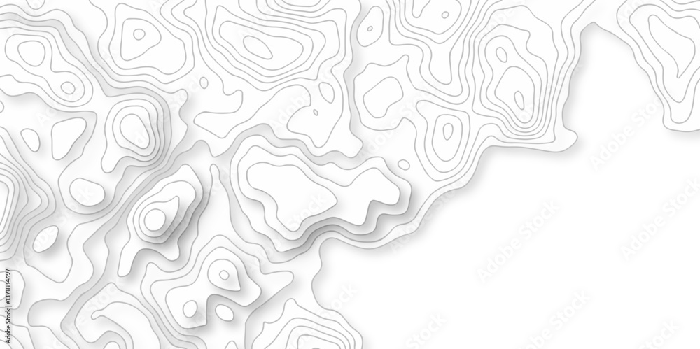 Poster abstract curve grid map and topo contour map on white background, topographic contour lines. seamles
