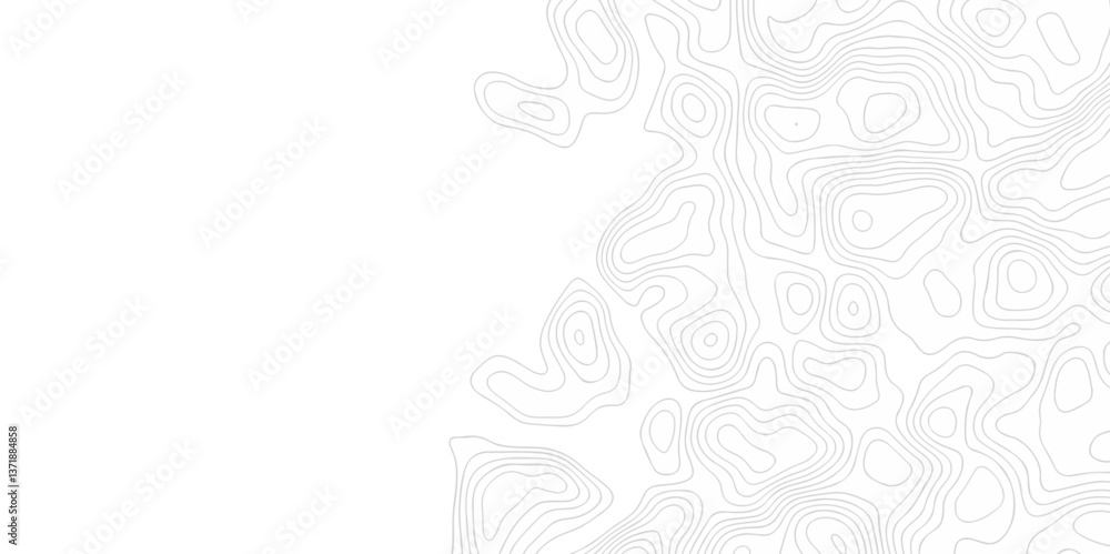 Poster abstract curve grid map and topo contour map on white background, topographic contour lines. seamles