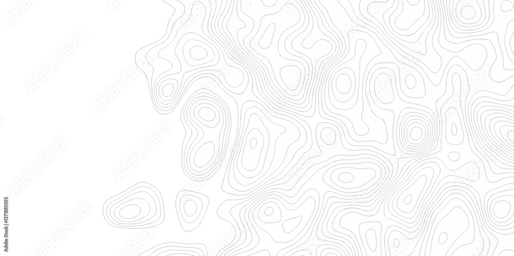 Poster abstract curve grid map and topo contour map on white background, topographic contour lines. seamles