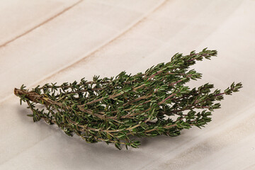 Fresh green Thyme branch isolated