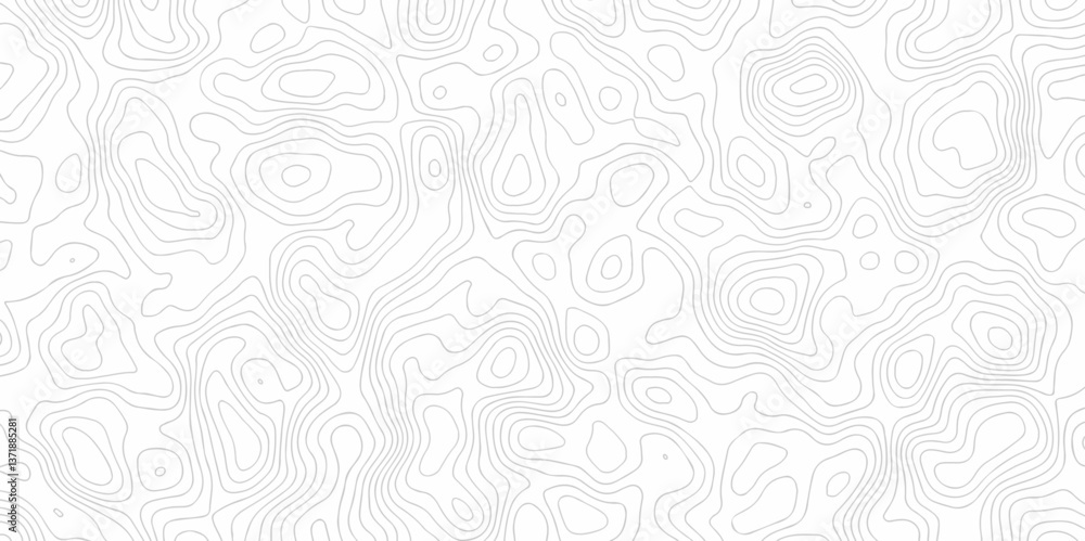 Poster abstract curve grid map and topo contour map on white background, topographic contour lines. seamles