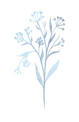 Plant branches, flowers, leaves, sprout watercolor