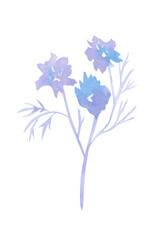 Plant branches, flowers, leaves, sprout watercolor