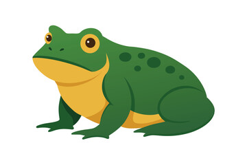 Obraz premium green frog isolated on white