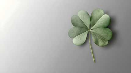 leaf_clover_isolated_on_a_transparent_backgr_