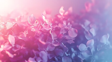 Fototapeta premium Dreamy Floral Bloom: Pastel Hues