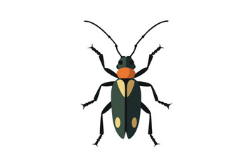 vector illustration of a spider