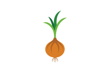 onion isolated on white background