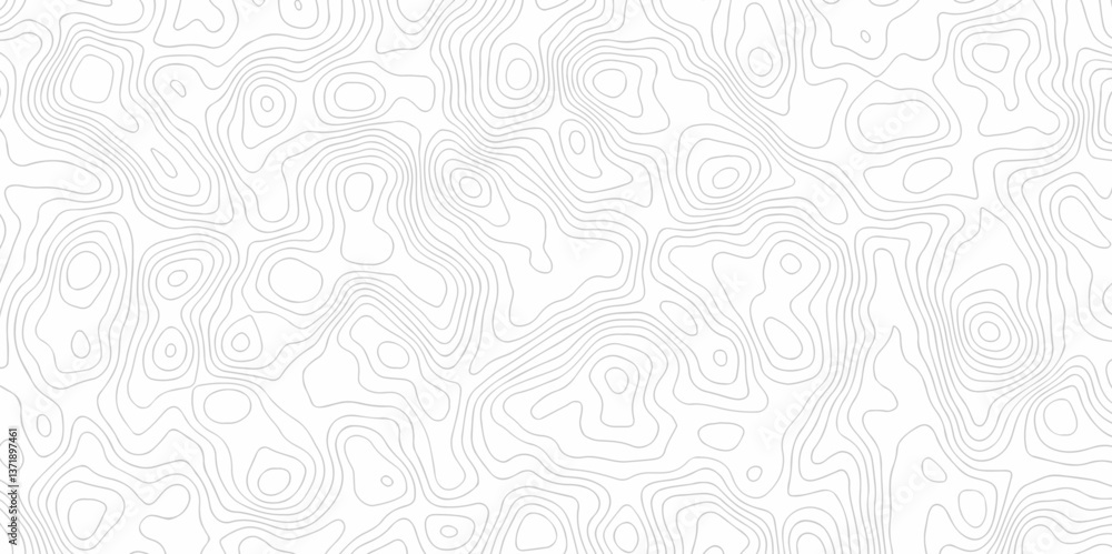 Poster abstract curve grid map and topo contour map on white background, topographic contour lines. seamles
