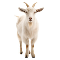 Fototapeta premium Goat AI Generated Image