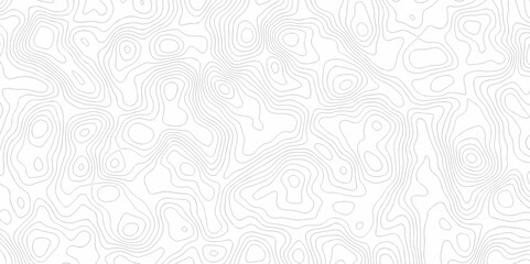 Abstract curve grid map and topo contour map on white background, Topographic contour lines. Seamless pattern with lines Topographic map. Geographic mountain relief diagram line wave carve design.	
