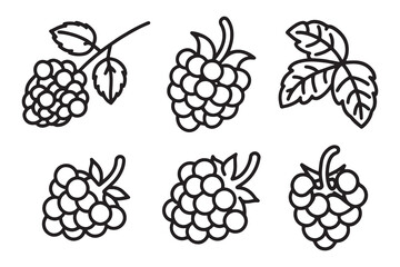 Blackberry line art set isolated flat vector illustration on white background
