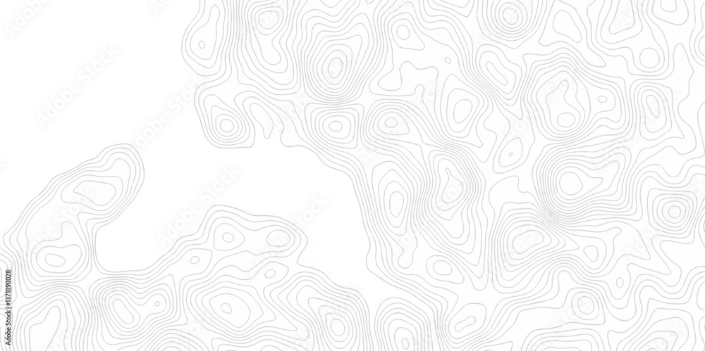 Poster abstract curve grid map and topo contour map on white background, topographic contour lines. seamles