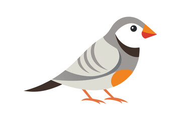 Fototapeta premium vector illustration of a duck