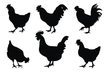 Chicken silhouette set isolated flat vector illustration on white background