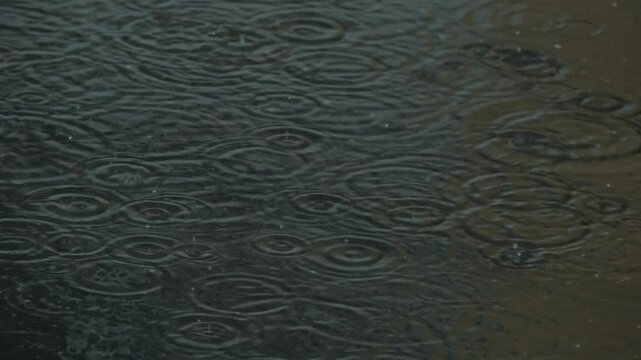 Rain, ripples on the water
