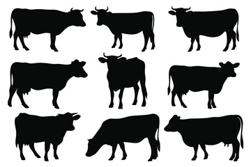 Obraz premium Cow silhouettes set isolated flat vector illustration on white background.
