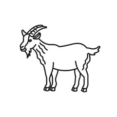 Obraz premium Goat animal line art isolated flat vector illustration on white background