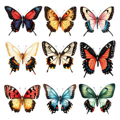 advertising graphic nature-inspired art delicate insect A vibrant collection of various butterfly species showcasing colorful wings.