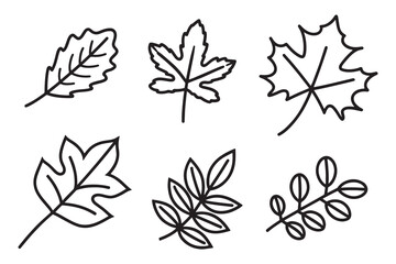 Obraz premium Maple leaf line art isolated flat vector illustration on white background