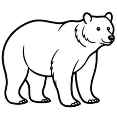 Bear animal