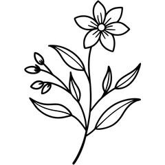 Black-and-white-floral-illustration 