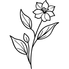 Black-and-white-floral-illustration 