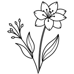Black-and-white-floral-illustration 