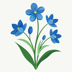 Blue-spring-first-flowers-isolated-on-a-white-back  