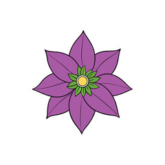 clematis flower vector white background 