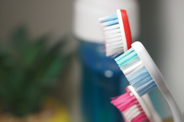 Colorful toothbrushes lined up beside a mouthwash container