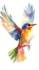 Obraz premium World Migratory Bird Day Vibrant watercolor bird in flight with rainbow feathers on white background