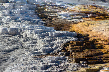 Mammoth hot springs