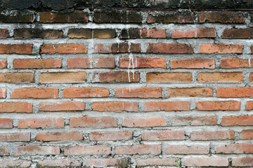 A red brick wall with a rough and mossy texture, tightly arranged with hardened and cracked cement