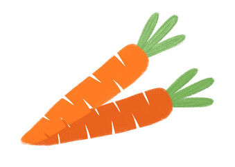 A pair of carrots simple illustration