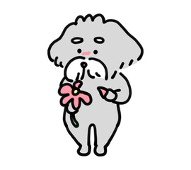 おじいちゃん犬と花占い