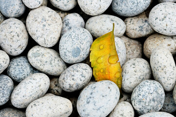 pebble stones background