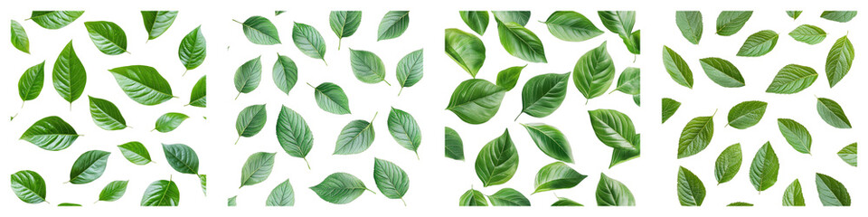 Refined green leaf repeat isolated on transparent background. PNG , se of