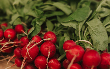 Fresh radish at small local urban market. Organic produce on sale at outdoor farmer market. Selling fresh crops and veggies harvest. European urban setting. Close up. Part of the series