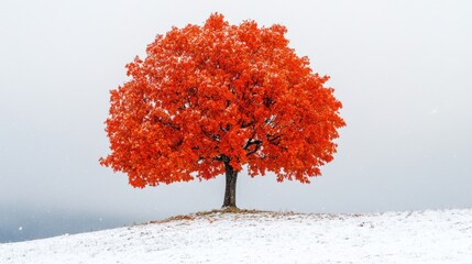 Autumn Tree, Snow-Covered Hill