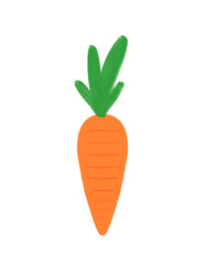 Carrot, vegetables, transparent background, illustration