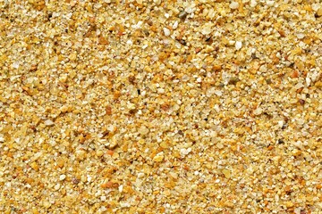 Abstract full frame sand grain background texture