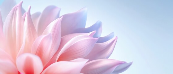Fototapeta premium Soft pink flower petals detail