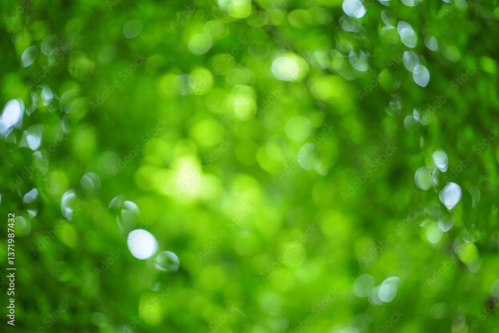 Poster a close up of a green background with bokeh lights