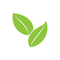 Leaf  logo icon  vector Illustration