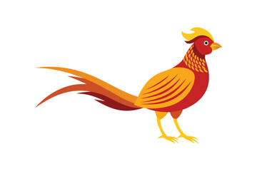 Obraz premium rooster isolated on white