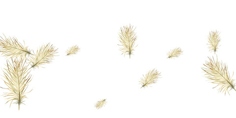 Obraz premium Adobe Illustrator Artwork