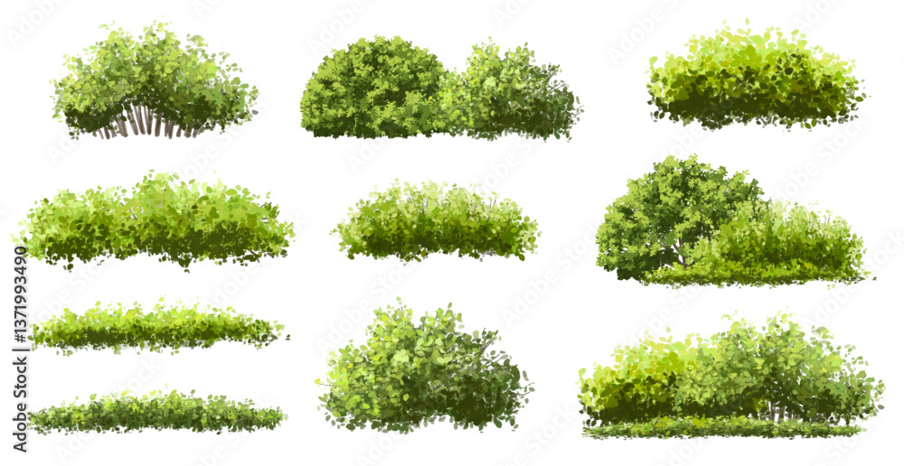 Leinwandbilder vector watercolor green tree or forest side view isolated on white background for landscape and arch